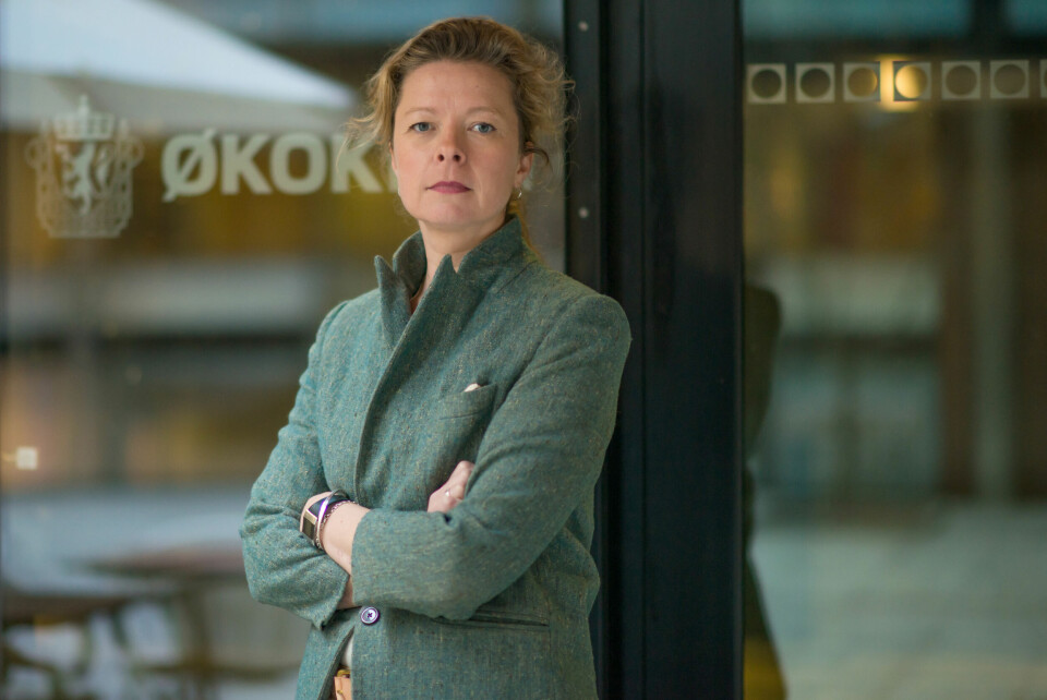 Økokrimsjef Hedvig Moe forventer korona-kriminalitet Foto: Andre Folkedal