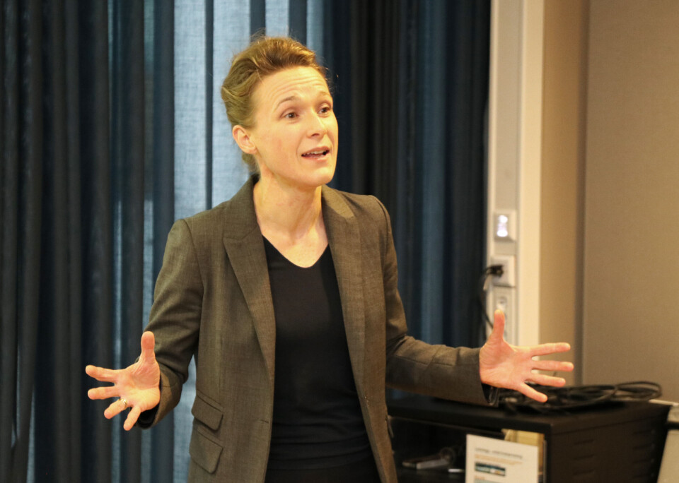 Statssekretær Marianne Eikvåg Groth. Foto: Vetle Daler