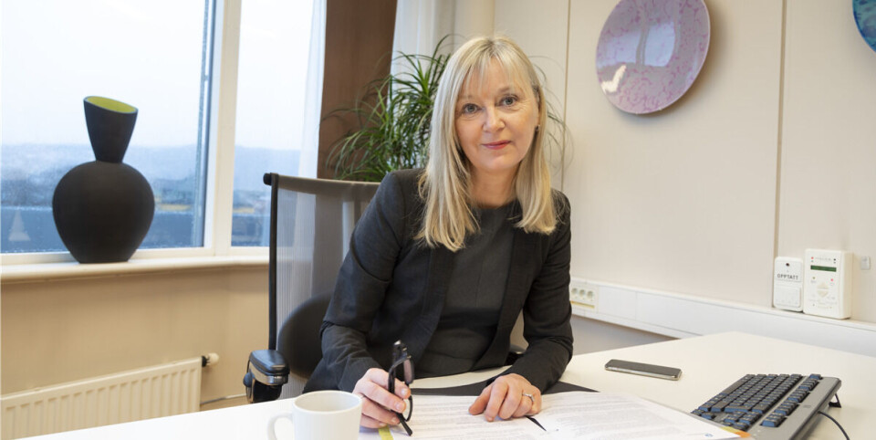 Arbeidsmiljøloven gjelder også på hjemmekontoret, sier direktør i Arbeidstilsynet Trude Vollheim Foto: Arbeidstilsynet