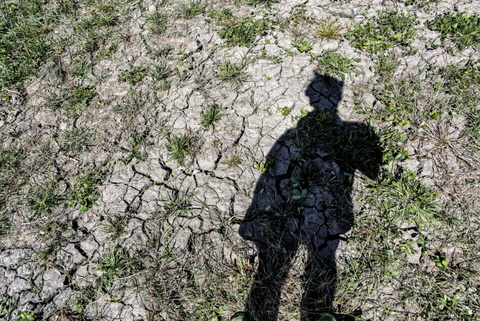 Illustrasjonsfoto: iStock / Getty Images