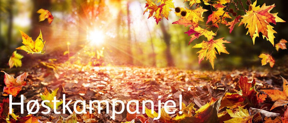 Verv en kollega i dag – du som verver får supre vervepremier!