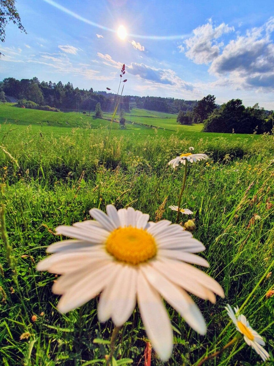 Parat forsvar er med deg i sommer