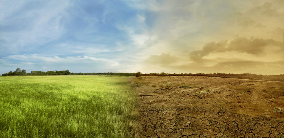 Illustrasjonsfoto: iStock / Getty Images