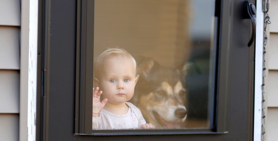 Foto: Istock