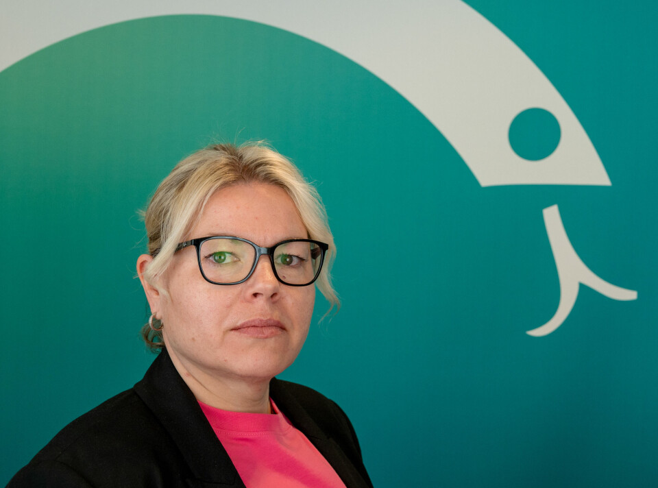 – Vi forventer at NorgesGruppen forstår hvilken rolle de nå går inn i, sier Birgitte Lloyd i Norges Farmaceutiske Forening.