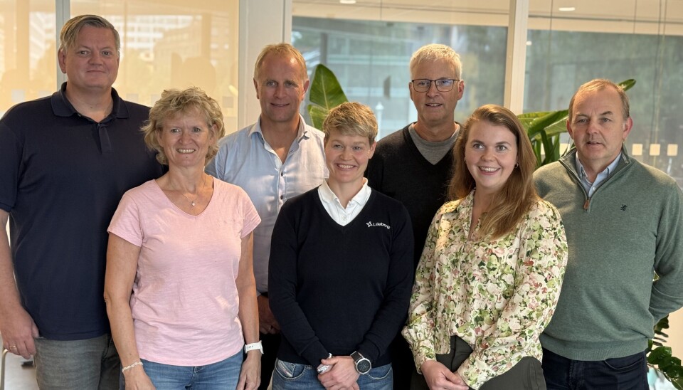 Hovedstyret i NML. Bak fra venstre: Knut-Arne Ljødal (nestleder), Oddgeir Schei (leder), Jeffrey Thomas (observatør), Kåre Ivar Stormoen. Foran fra venstre: Turid Rolfsen, Camilla Gangsøy, Mari Sliper. Ikke tilstede; Hans Kjetil Kvålshagen