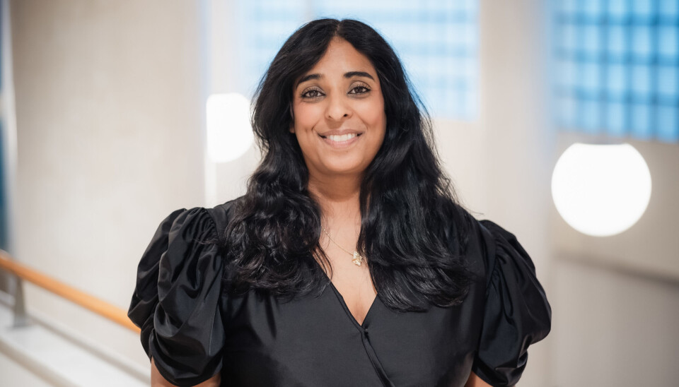 Kultur- og likestillingsminister Lubna Jaffery la tirsdag fram regjeringens nye strategi for ytringsfrihet.